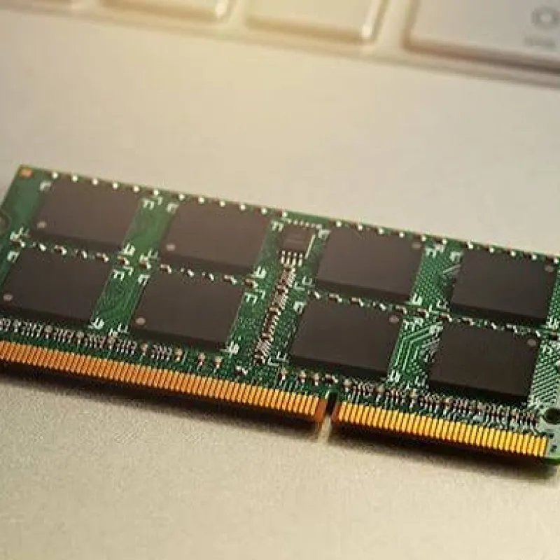 ram